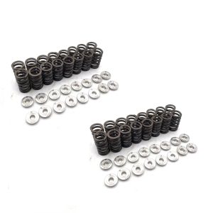 AUDI 4.0T 4.2L Valve Springs and Titanium Retainers Kit for AUDI V8 32V